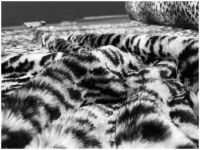 Ecopelliccia Leopardato neve h 160